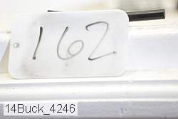 14buck_4246 thumbnail