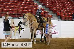 14buck_4399 thumbnail