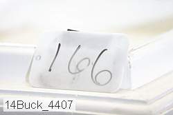 14buck_4407 thumbnail