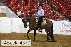 14buck_4577 thumbnail