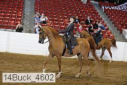 14buck_4602 thumbnail