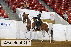 14buck_4610 thumbnail