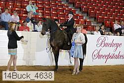 14buck_4638 thumbnail