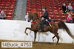 14buck_4753 thumbnail