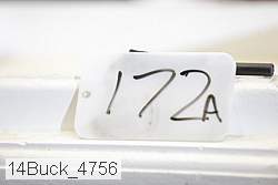 14buck_4756 thumbnail