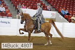 14buck_4807 thumbnail