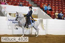 14buck_4826 thumbnail
