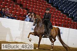 14buck_4828 thumbnail