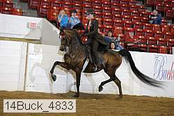 14buck_4833 thumbnail