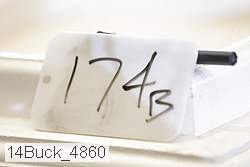 14buck_4860 thumbnail