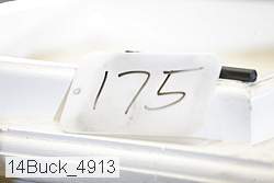 14buck_4913 thumbnail