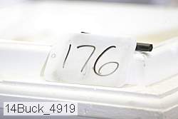 14buck_4919 thumbnail