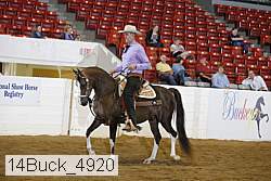 14buck_4920 thumbnail