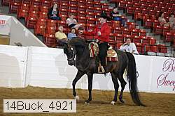 14buck_4921 thumbnail