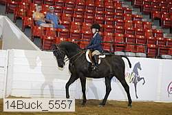 14buck_5557 thumbnail