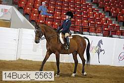 14buck_5563 thumbnail