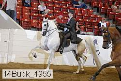 14buck_4955 thumbnail
