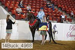 14buck_4968 thumbnail