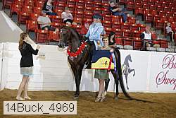 14buck_4969 thumbnail
