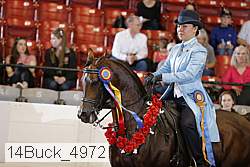 14buck_4972 thumbnail