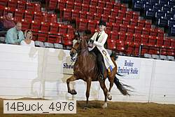 14buck_4976 thumbnail