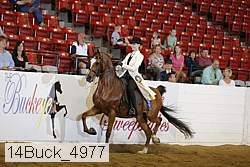 14buck_4977 thumbnail