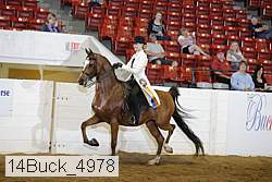 14buck_4978 thumbnail
