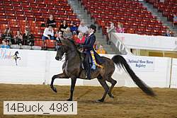 14buck_4981 thumbnail