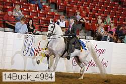 14buck_4984 thumbnail