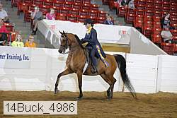14buck_4986 thumbnail