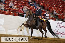 14buck_4988 thumbnail