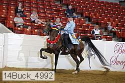 14buck_4992 thumbnail