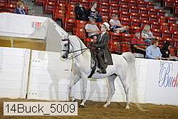 14buck_5009 thumbnail