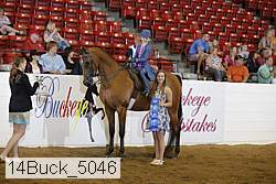 14buck_5046 thumbnail