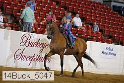 14buck_5047 thumbnail