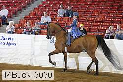 14buck_5050 thumbnail
