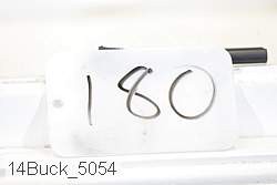 14buck_5054 thumbnail