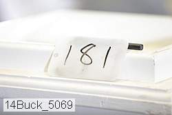 14buck_5069 thumbnail