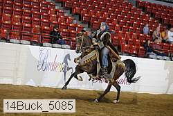 14buck_5085 thumbnail