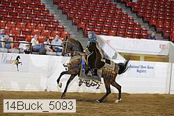 14buck_5093 thumbnail