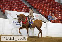 14buck_5308 thumbnail