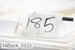 14buck_5323 thumbnail