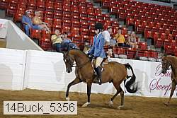 14buck_5356 thumbnail