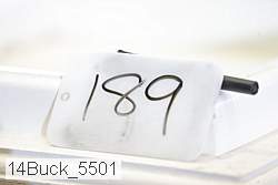 14buck_5501 thumbnail