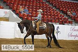 14buck_5504 thumbnail