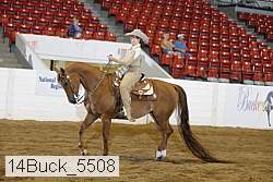 14buck_5508 thumbnail