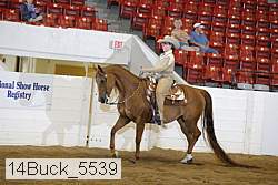 14buck_5539 thumbnail