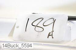 14buck_5594 thumbnail