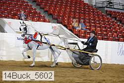 14buck_5602 thumbnail