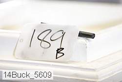 14buck_5609 thumbnail